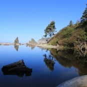 Olympic NP 12